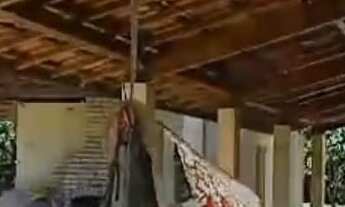 Imagem 6: EXCELENTE CHÁCARA DE 9.000 M² COM LAGOS COD: 5398 F:(11) 97302-9229 CESAR