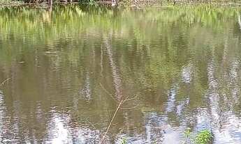 Imagem 3: EXCELENTE TERRENO COM LAGO COD: 5450 F:(11) 97302-9229 CESAR