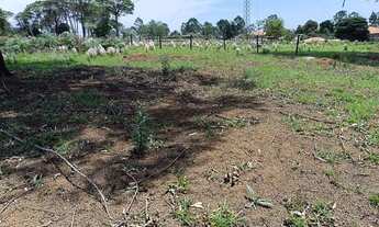 Imagem 3: EXCELENTE TERRENO DE 1.150,00 M² COD: 5429 F:(11) 97302-9229 CESAR