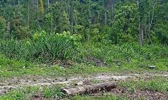 Imagem 4: EXCELENTE TERRENO COM LAGO COD: 5450 F:(11) 97302-9229 CESAR