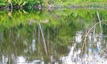 Imagem 7: EXCELENTE TERRENO COM LAGO COD: 5450 F:(11) 97302-9229 CESAR