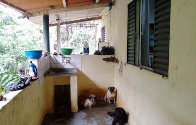 Imagem 2: MODESTA CHÁCARA ESTILO RANCHO COD: 5446 F:(11) 97302-9229 CESAR