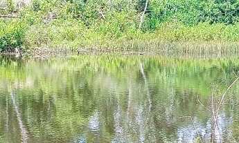 Imagem 6: EXCELENTE TERRENO COM LAGO COD: 5450 F:(11) 97302-9229 CESAR