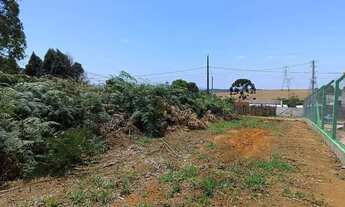 Imagem 7: EXCELENTE TERRENO DE 1.150,00 M² COD: 5429 F:(11) 97302-9229 CESAR