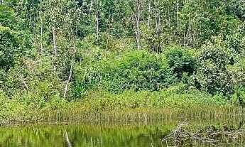 Imagem 2: EXCELENTE TERRENO COM LAGO COD: 5450 F:(11) 97302-9229 CESAR