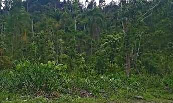 Imagem 5: EXCELENTE TERRENO COM LAGO COD: 5450 F:(11) 97302-9229 CESAR