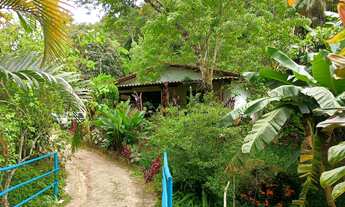 Imagem: EXCELENTE CHÁCARA COM RIACHO E NASCENTE