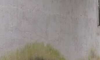 Imagem 4: EXCELENTE CHÁCARA BEM PLANA COD: 5481 F:(11) 97302-9229 CESAR