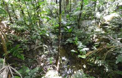 Imagem 6: EXCELENTE TERRENO COM NASCENTES COD: 5505 F:(11) 97302-9229 CESAR