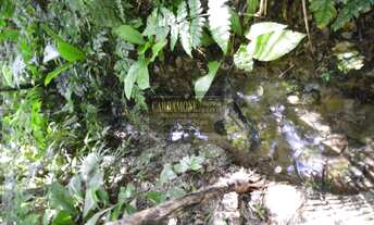 Imagem 7: EXCELENTE TERRENO COM NASCENTES COD: 5505 F:(11) 97302-9229 CESAR