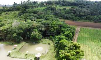 Imagem 4: EXCELENTE PESQUEIRO EM IBIÚNA COD: 5526 F:(11) 97302-9229 CESAR