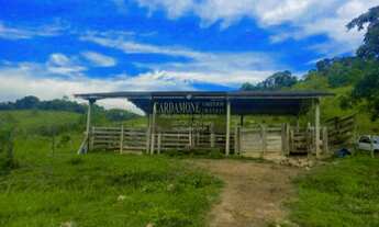 Imagem 5: EXCELENTE SÍTIO DE 41.HECTARES DE PASTO ABERTO COD 5576 F:(11) 97302-9229 CESAR