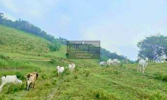 Imagem 6: EXCELENTE SÍTIO DE 41.HECTARES DE PASTO ABERTO COD 5576 F:(11) 97302-9229 CESAR