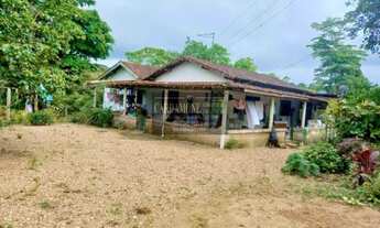 Imagem 2: EXCELENTE SÍTIO DE 41.HECTARES DE PASTO ABERTO COD 5576 F:(11) 97302-9229 CESAR