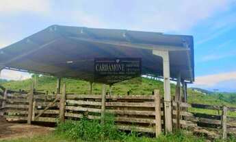 Imagem: EXCELENTE SÍTIO DE 41.HECTARES DE PASTO