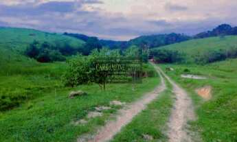 Imagem 4: EXCELENTE SÍTIO DE 41.HECTARES DE PASTO ABERTO COD 5576 F:(11) 97302-9229 CESAR