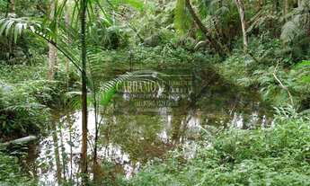 Imagem 2: Chácara Charmosa em Juquitiba SP COD: 5624 F:(11) 97302-9229 CESAR