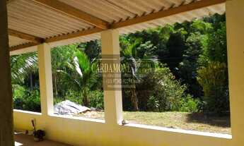 Imagem 3: SÍTIO À VENDA NO VALE DO RIBEIRA SP COD 5633 F:(11) 97302-9229 CESAR