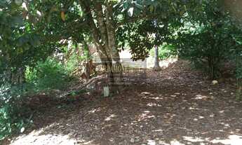 Imagem 6: SÍTIO À VENDA NO VALE DO RIBEIRA SP COD 5633 F:(11) 97302-9229 CESAR