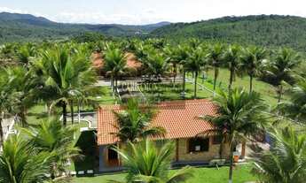 Imagem 4: FAZENDA À VENDA EM CAJATI SP* COD: 5631 F:(11) 97302-9229 CESAR