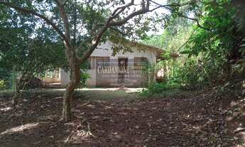 Imagem 5: SÍTIO À VENDA NO VALE DO RIBEIRA SP COD 5633 F:(11) 97302-9229 CESAR