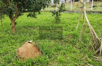 Imagem 3: CHÁCARA PARA FORMAR EM ITAPECERICA DA SERRA COD: 5650 F:(11) 97302-9229 CESAR