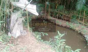 Imagem: CHÁCARA À VENDA EM JUQUITIBA COD 5653