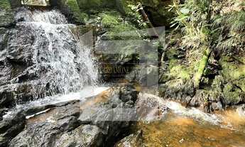 Imagem: SÍTIO EM JUQUITIBA SP COD 5690 F (11)