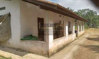 Imagem 3: SÍTIO NO VALE DO RIBEIRA COD: 5714 F:(11) 97302-9229 CESAR