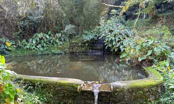 Imagem 7: Sítio com 169.000 m² em São Lourenço da Serra SP COD: 5681 F:(11) 97302-9229 CESAR