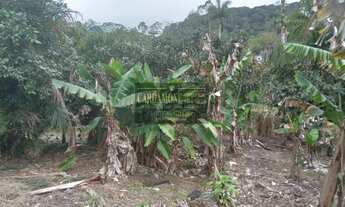 Imagem 7: Sítio Produtivo no Vale do Ribeira COD: 5750 F:(11) 97302-9229 CESAR