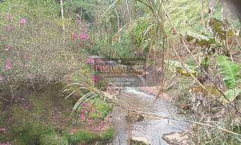 Imagem 2: Sítio Produtivo no Vale do Ribeira COD: 5750 F:(11) 97302-9229 CESAR