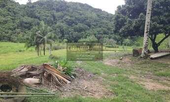 Imagem 7: Fazenda em Miracatu COD: 5818 F:(11) 97302-9229 CESAR