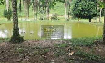 Imagem: Fazenda em Miracatu COD 5818 F (11) 97302-9229