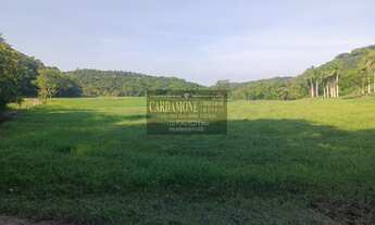 Imagem 6: Fazenda em Registro - 50 Alqueires COD: 5807 F:(11) 97302-9229 CESAR