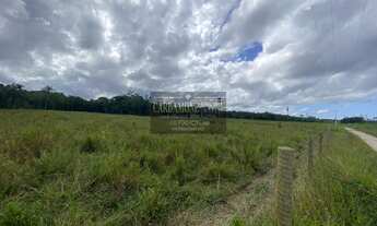 Imagem 5: Fazenda no Vale do Ribeira SP COD: 5787 F:(11) 97302-9229 CESAR