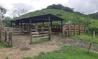 Imagem 5: Fazenda em Miracatu COD: 5818 F:(11) 97302-9229 CESAR
