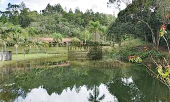 Imagem: Sítio Alto Padrão em São Lourenço da