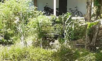 Imagem 3: Sítio em Miracatu/SP COD: 5828 F:(11) 97302-9229 CESAR