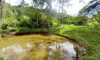 Imagem: Sítio com 4 hectares em Juquitiba COD