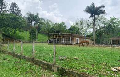 Imagem 7: Sítio em Itapecerica da Serra, SP COD: 5863