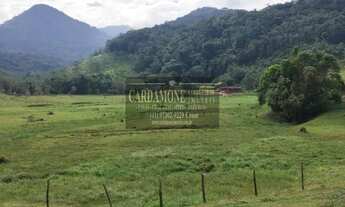 Imagem 4: Fazenda em 7 Barras SP COD: 5898 F:(11) 97302-9229 CESAR