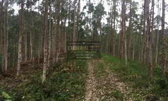 Imagem 7: FAZENDA EM CAJATI COD: 5896 F:(11) 97302-9229 CESAR