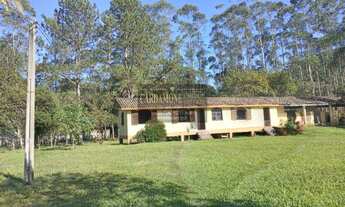 Imagem: Sítio em Juquitiba SP COD 5918 F (11)