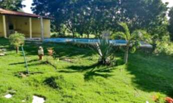 Imagem: Sitio à venda na BR 316 Teresina PI