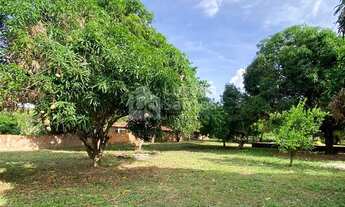 Imagem 3: Sítio à venda no Povoado Estaca Zero Teresina PI