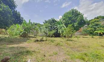 Imagem 7: Sítio à venda no Bairro Tabajaras Teresina PI