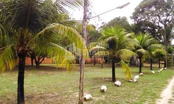 Imagem 2: Sitio à venda no Povoado Campo Grande Teresina PI