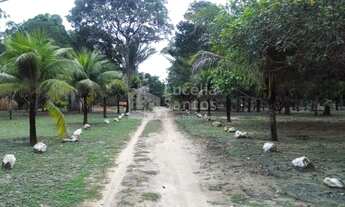 Imagem: Sitio à venda no Povoado Campo Grande Teresina