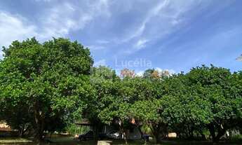 Imagem 4: Sítio à venda no Povoado Estaca Zero Teresina PI